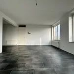 Rent 3 bedroom apartment of 95 m² in Amersfoort