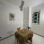 Rent 4 bedroom apartment of 110 m² in Palermo