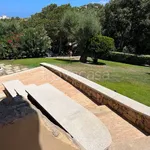 Rent 5 bedroom house of 160 m² in Olbia