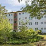 Rent 3 bedroom apartment of 62 m² in Berlin