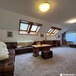 Rent 1 bedroom house of 665 m² in Třeboň