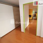 Rent 4 bedroom apartment of 120 m² in Dalovice