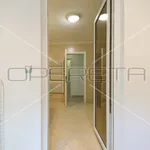 Rent 4 bedroom apartment of 218 m² in Zagreb