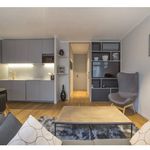 Rent 2 bedroom apartment of 50 m² in Paris