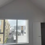 Rent 3 bedroom house in Wellington