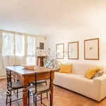 Rent 2 bedroom apartment of 65 m² in pisa