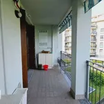 Rent 2 bedroom apartment of 50 m² in Milan