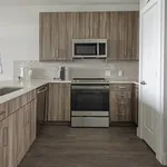 Rent 1 bedroom apartment in Katy