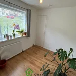 Rent 3 bedroom house in Wales