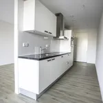 Huur 1 slaapkamer appartement van 44 m² in Delft