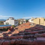 Rent 1 bedroom apartment in Florence