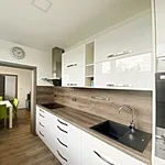 Rent 3 bedroom apartment of 74 m² in Brno