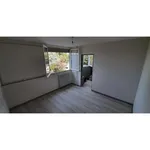 Appartement de 50 m² avec 2 chambre(s) en location à St