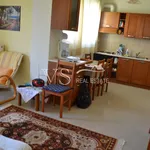 Rent 1 bedroom apartment of 47 m² in Αχαΐα