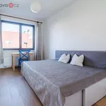 Rent 3 bedroom apartment of 106 m² in Trhový Štěpánov