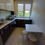 Rent 3 bedroom apartment of 53 m² in Szczecin