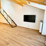 Rent 1 bedroom apartment of 70 m² in Olomouc