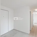 Rent 4 bedroom apartment of 110 m² in Prague