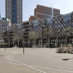 Rent 4 bedroom apartment of 136 m² in Den Haag