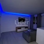 Rent 2 bedroom apartment of 40 m² in Grad Rijeka