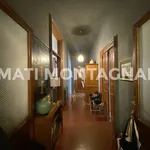 Rent 4 bedroom apartment of 160 m² in Rome