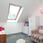 Rent 3 bedroom house in Belfast