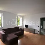 Rent 4 bedroom apartment of 140 m² in Biella