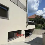 Rent 3 bedroom apartment of 441 m² in Trhový Štěpánov