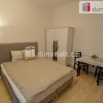 Rent 1 bedroom apartment in Capital City of Prague