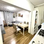 Rent 2 bedroom apartment of 55 m² in padova