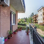 Rent 4 bedroom apartment in Rome