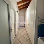 Rent 3 bedroom apartment of 70 m² in Trento