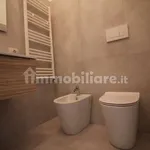 Rent 2 bedroom apartment of 80 m² in Catania