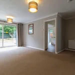 Rent 1 bedroom apartment in Hart