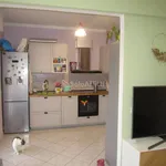 Rent 3 bedroom apartment of 72 m² in Prato