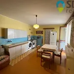 Rent 1 bedroom house in Záhumení