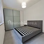 Rent 2 bedroom apartment of 45 m² in Turin