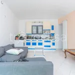 Rent 3 bedroom apartment of 75 m² in Torino