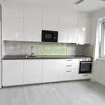 Rent 2 bedroom apartment of 35 m² in Brno