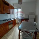 Rent 3 bedroom apartment of 67 m² in Perugia