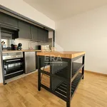 Appartement de 30 m² avec 1 chambre(s) en location à pau