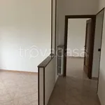 Rent 4 bedroom apartment of 80 m² in Alessandria