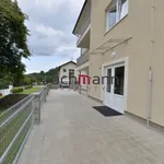 Pronajměte si 1 ložnic/e byt o rozloze 37 m² v Český Krumlov