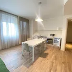 Rent 1 bedroom apartment of 65 m² in Fiorenzuola d'Arda