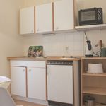 Miete 1 Schlafzimmer wohnung von 28 m² in Dresden