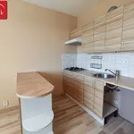 Rent 1 bedroom apartment in Teplice