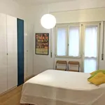 Rent 1 bedroom apartment in milan