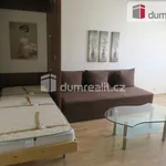 Rent 1 bedroom apartment of 40 m² in Zlín