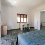 Rent 1 bedroom apartment of 47 m² in Catanzaro