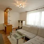 Rent 2 bedroom apartment of 40 m² in Brno